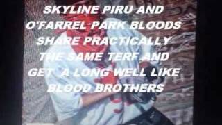 Stormin Stakkabill - Skyline Piru Roll Kall 2000