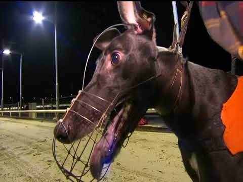 2017 SUNBETS EAST ANGLIAN DERBY GRAND FINAL - T5 NEWINN SHADOW