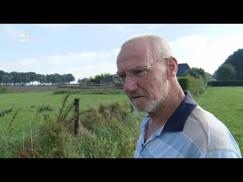 'Hij zal wel denken: ik ben directeur en hij is maar een arbeidertje' | DE RIJDENDE RECHTER