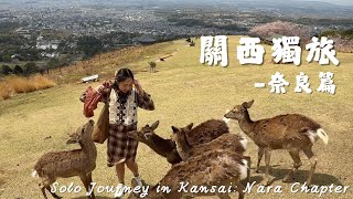 Solo Trip in Kansai 🇯🇵 Nara Day Trip | Todaiji, Wakakusa Mountain & Kasuga Taisha Deer Encounter ✨