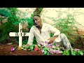 Ibraah Feat Harmonize - Dharau PARODY By Dogo Charlie