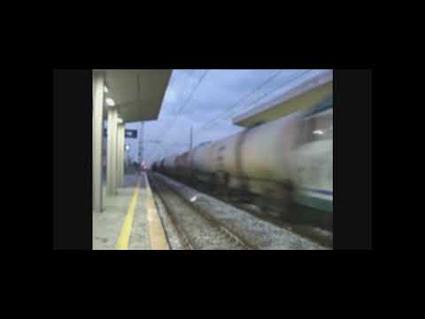 TIGRONE IN TESTA ALLE CISTERNE LOTRAS