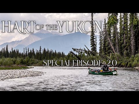 Hart of the YUKON - 14 Days Solo Camping in the Yukon Wilderness - Special Episode 2.0
