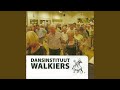 Ymca Disco Swing 127 Bpm