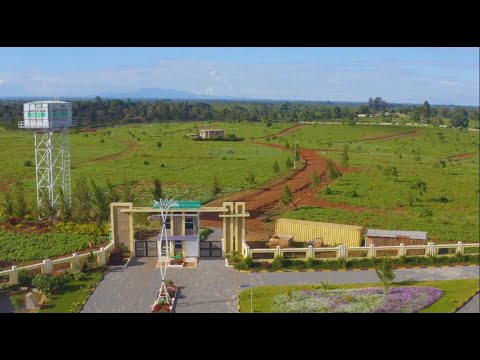 Kwamua January With Optiven Offer