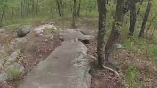 A preview of the features on this trail.