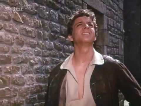 Die Schatzinsel 2/4 Der Schiffskoch