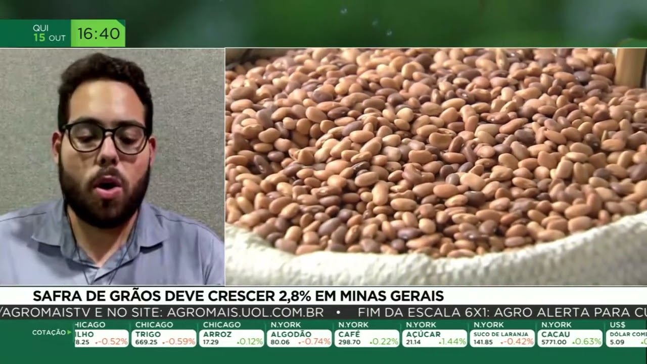 Safra de grãos deve crescer 2,8% em Minas Gerais