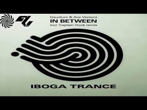 Ace Ventura & Gaudium - In between