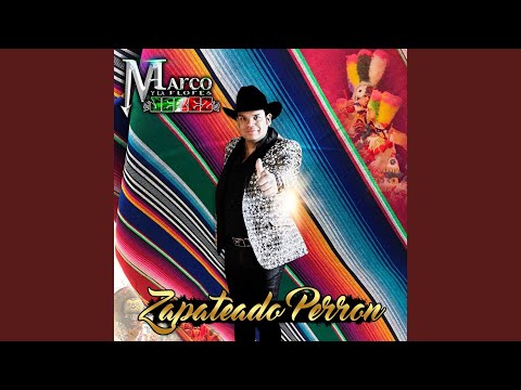 download lagu mp3 mp4 Zapateado Perron, download lagu Zapateado Perron gratis, unduh video klip Zapateado Perron