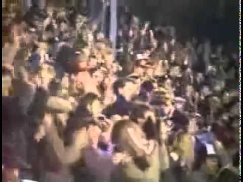 Bless You Boys - 1984 Detroit Tigers