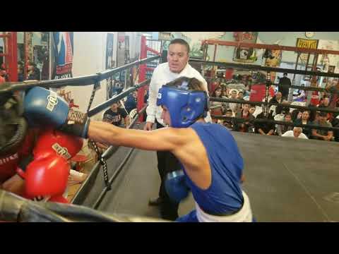 Yoruba Moreu Jr 1 minute STOPPAGE (RSC) NM Silver Gloves