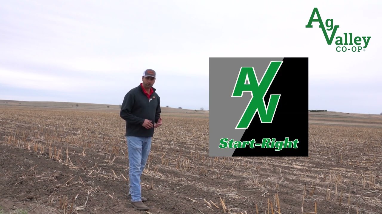 AVX Update with Mike Minarik