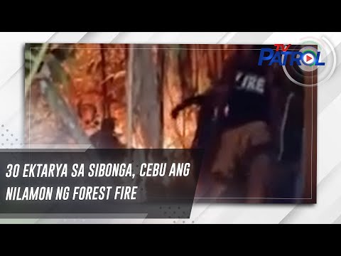 30 ektarya sa Sibonga, Cebu ang nilamon ng forest fire TV Patrol