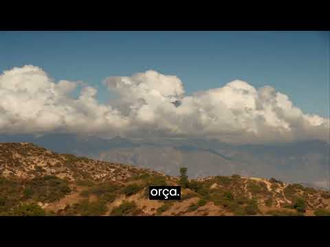 Expressão do Teu Amor