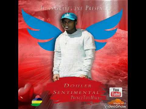 Douler Sentimental-PrincetUiimiika & WAV STUDIO(Audio)