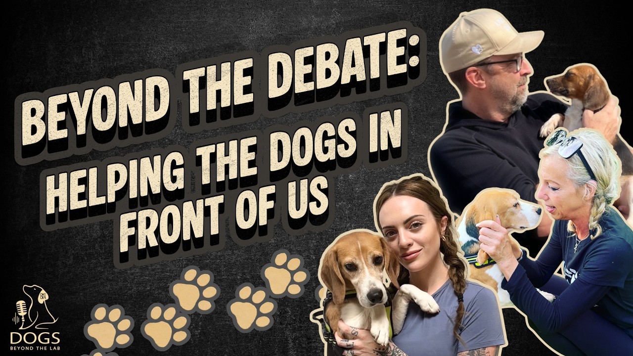 Beyond The Debate: Helping The Dogs In Front Of Us