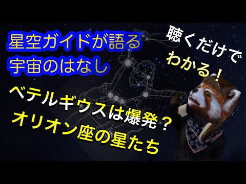 オリオン座ベータ星について詳しく解説