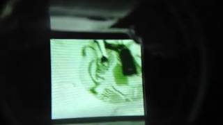 Dbfc shorts: real-life zombies