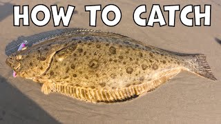 How to Catch Halibut 2025 Tutorial [SoCal Surf Fishing]