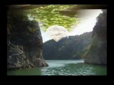 PEDJA FILIPOVIC "U SNU''