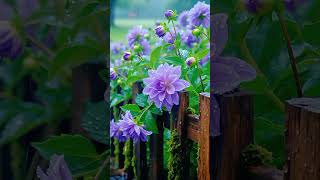 Download lagu Sabar dan ikhlas #motivasi #motivasihidup #sabar #ikhlas mp3