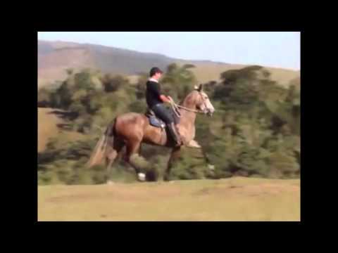 12 - História RRC - Embrião por Cordel do Palmital - 4º Gênesis