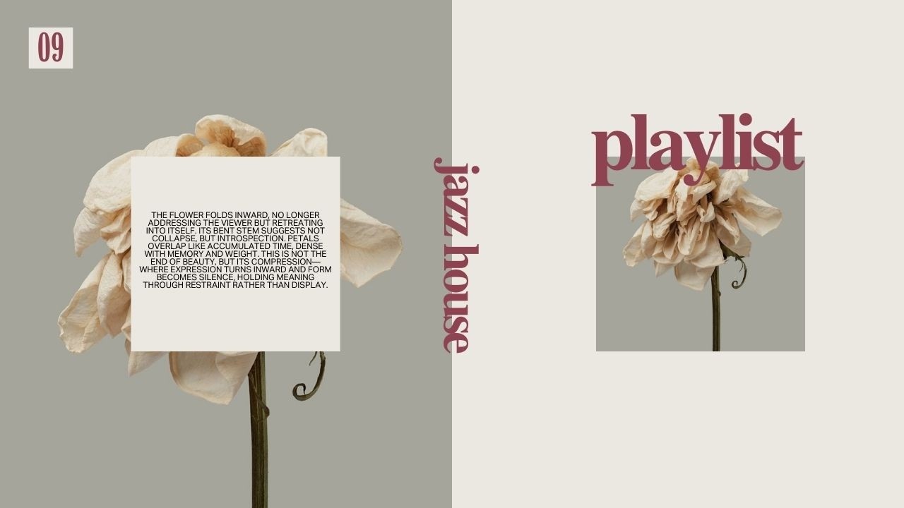 Smooth Jazz House Mix | Deep Grooves for Cafés, Hotels & Rooftops #9