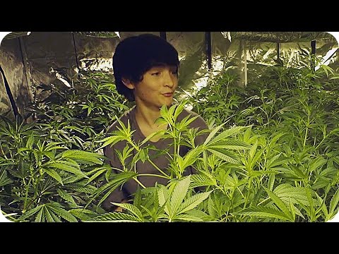 GREEN IS GOLD Trailer (2016)