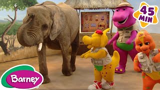 Old MacDonald, Bingo y mas Canciones de Animales | Canciones Infantiles en Inglés | Barney en Inglés