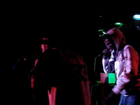 JAJA ft. OJAWEL - OJAJAWEL (LIVE @ ALKMAAR)