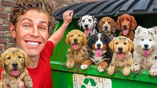 Download lagu I Found 8 Lost Puppies in a Dumpster! mp3 Download lagu I Found 8 Lost Puppies in a Dumpster! mp3