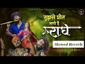 Slowed Reverb Version Tujhse Preet Lagi Hai Radhe || Krishna Chaturvedi , Pankaj VRK || #radheradhe