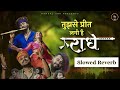 Slowed Reverb Version Tujhse Preet Lagi Hai Radhe Krishna Chaturvedi Pankaj VRK Radheradhe