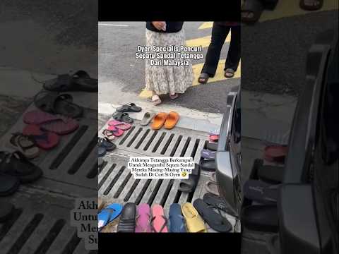 Oyen Specialis Pencuri Sepatu Sandal Dari Malaysia #shorts #cat #kucing #animals #funny #pets #lucu