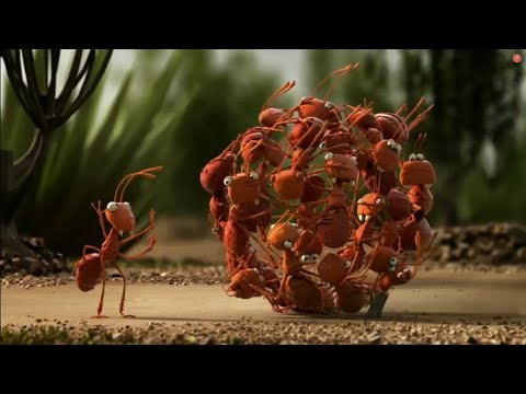 It's all about Teamwork