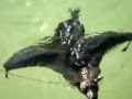 Swimming Bat