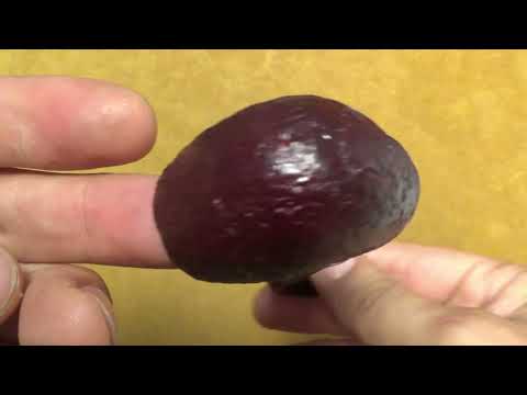 Peterson Christmas 2023 - 230