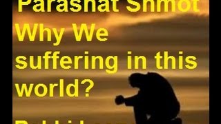 הרב יצחק לסרי - Prashat Shmot-Why We suffering in this world?