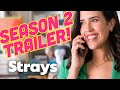 Strays - Season 2 trailer