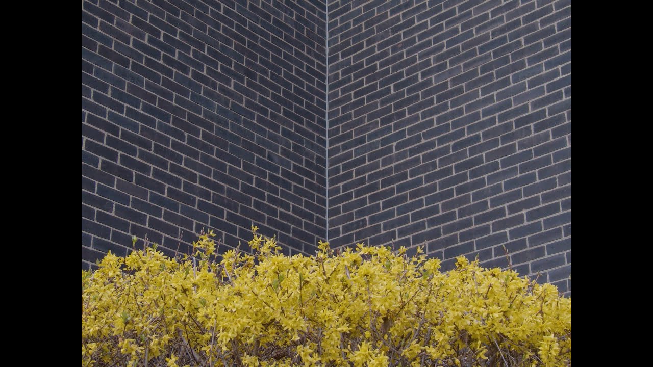 Festival Film Dokumenter 2020 | Trailer - memories/fortress