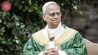 Qué es el nódulo pulmonar que tiene el papa León XIV y qué riesgos implica