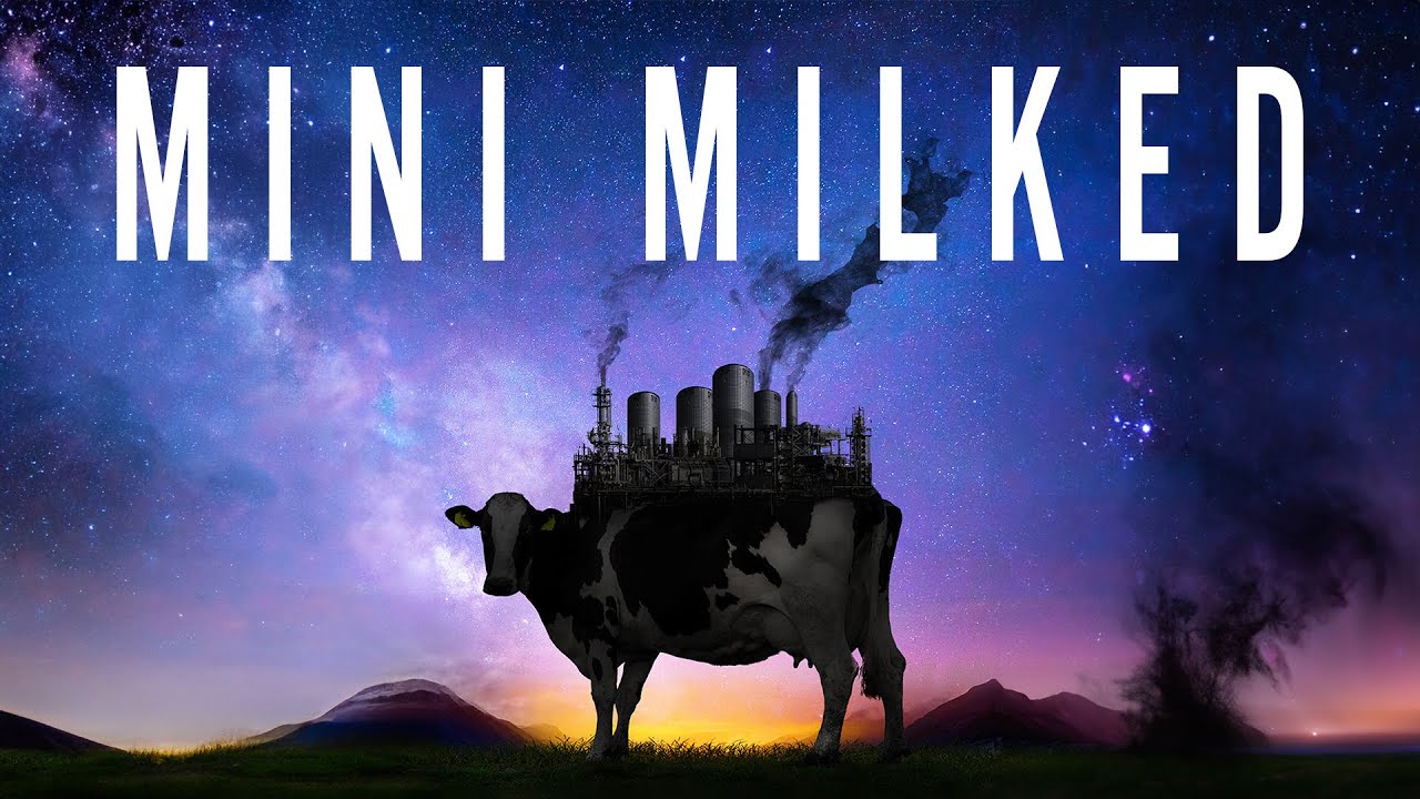 MILKED: White Lies In Dairy Land