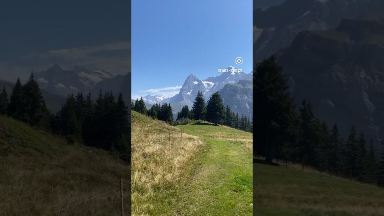 YouTube Short thumbnail