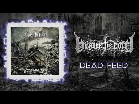 Brave The Cold - Dead Feed (Audio)