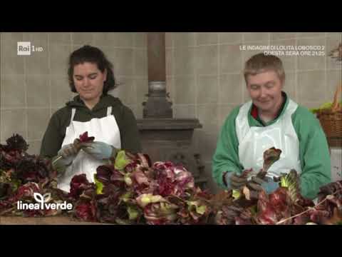 Linea Verde - Rosa di Gorizia 05/02/2023