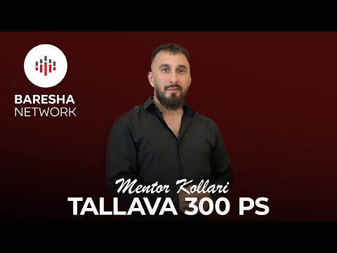 Mentor Kollari - TALLAVA 300 PS ( 2025 )