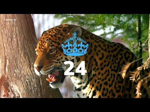 Jaguar Skills - FLY (The Jaguar Skills 140 Mix) ft. WiDE AWAKE, Lady Lykez, Scrufizzer, Milli Major