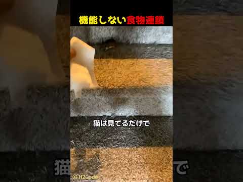 機能しない食物連鎖