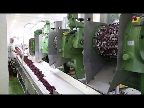 Машина для удаления косточек из вишни, сливы, абрикоса до 2000 кг/час